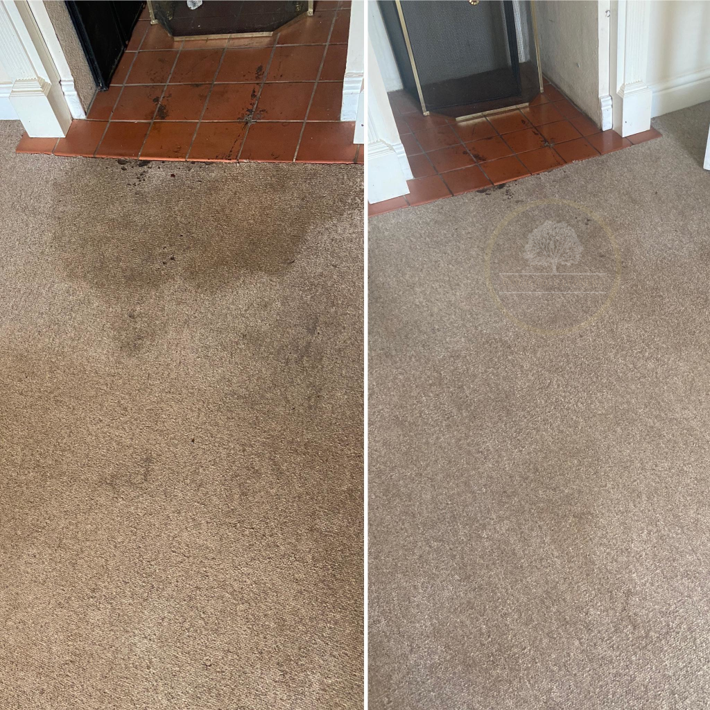 Carpet Cleaned by Country Cleaners in Sidmouth